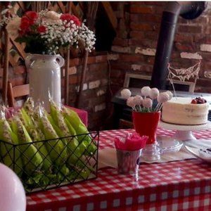 Red & White  checkered disposable tablecloths